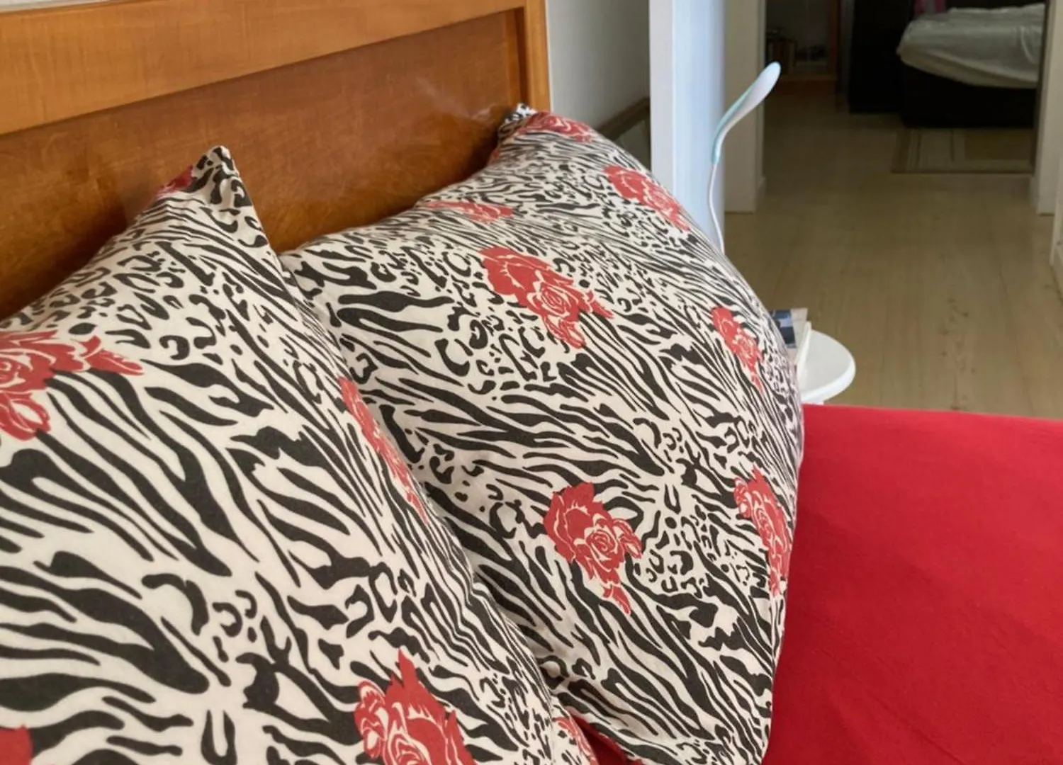 Lejlighed Apartamento Frente Para O Mar Em Pereque Porto Belo Sc Brasilien
